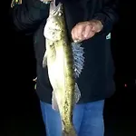 Oleandria -,,domek Pokrzywa