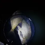 Lodge Oleandria -,,domek Pokrzywa