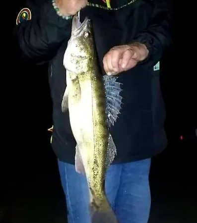 Oleandria -,,domek Pokrzywa