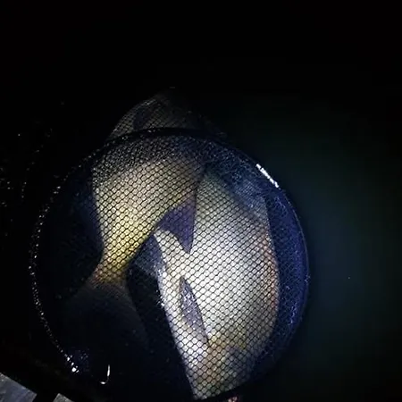 Lodge Oleandria -,,domek Pokrzywa